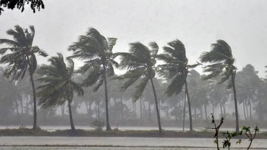Low Pressure Over Southeast Bay Of Bengal In Next 48 Hours: IMD