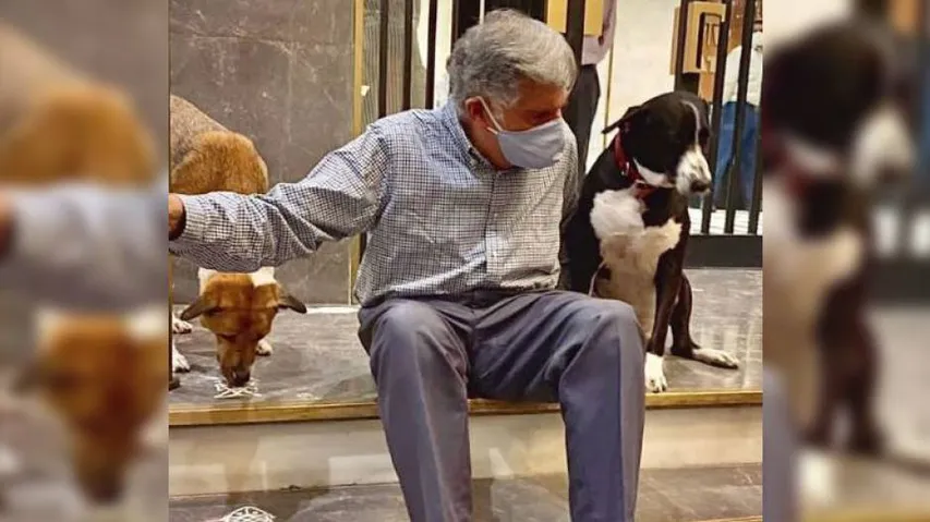 A Short Memoir Of Life With Ratan Tata