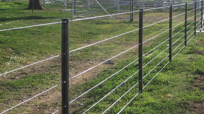 Odisha Govt Plans To Involve Communities For Solar Fencing In Elephant-Impacted Areas