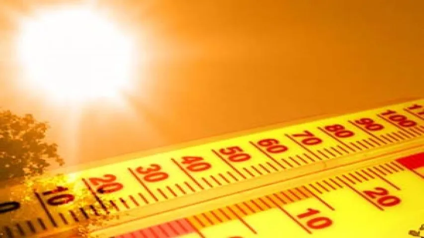 July 2021 Officially The Hottest Month Humans Ever Recorded