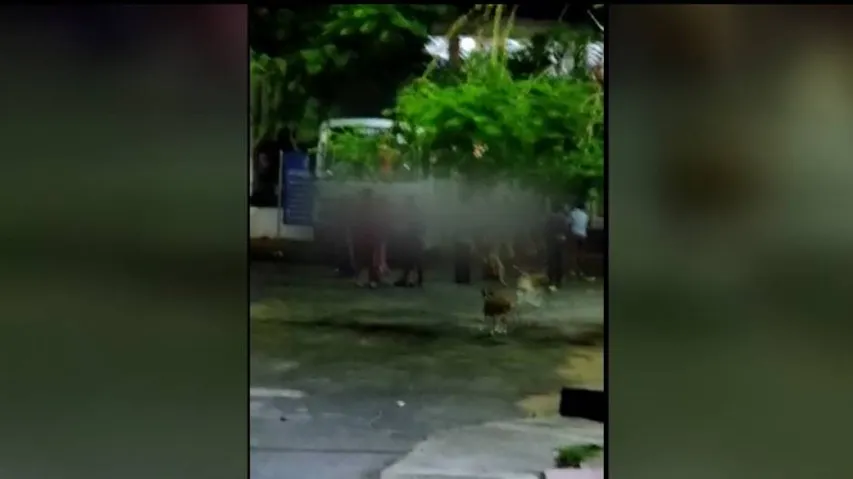 Tension At Cancer Hospital In Cuttack During Shifting Of Covid-19 Patients