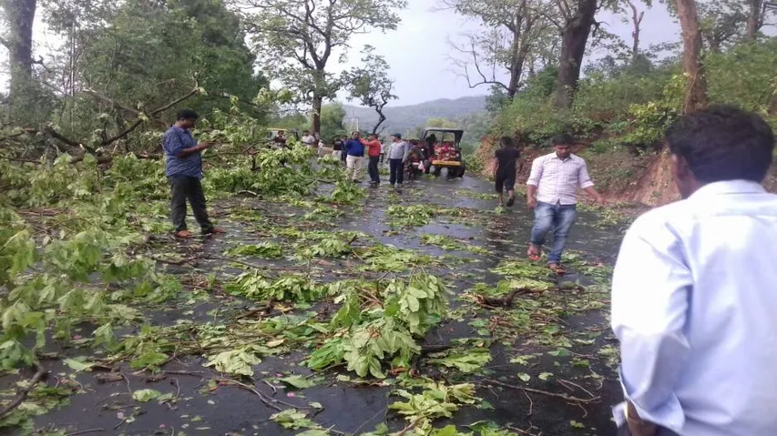 3 killed in unseasonal rain in Odisha