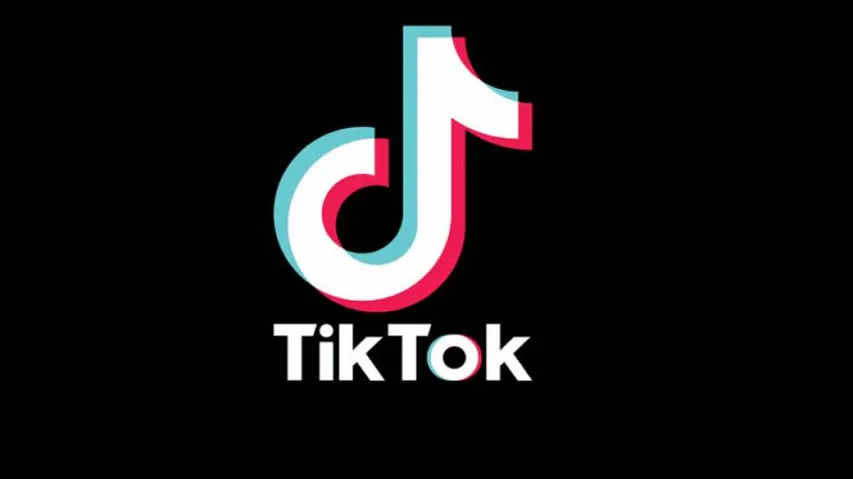 Love for TikTok lands youth in jail