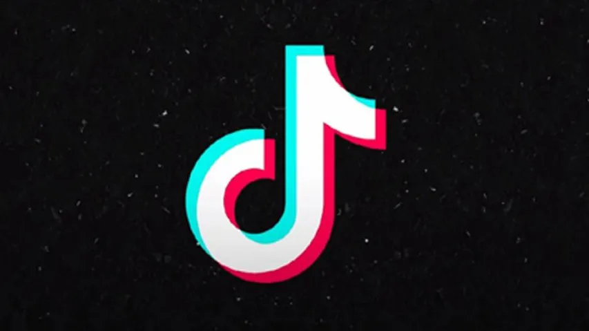 Madras High Court lifts ban on TikTok app