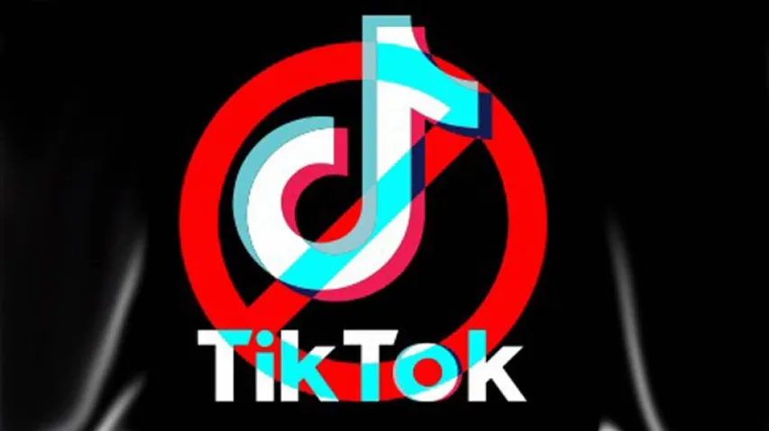 U.S. Bans Chinese Apps TikTok and WeChat Citing National Security Concerns