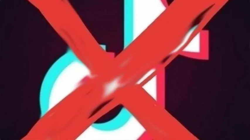 80% youngsters want TikTok banned in India: Survey