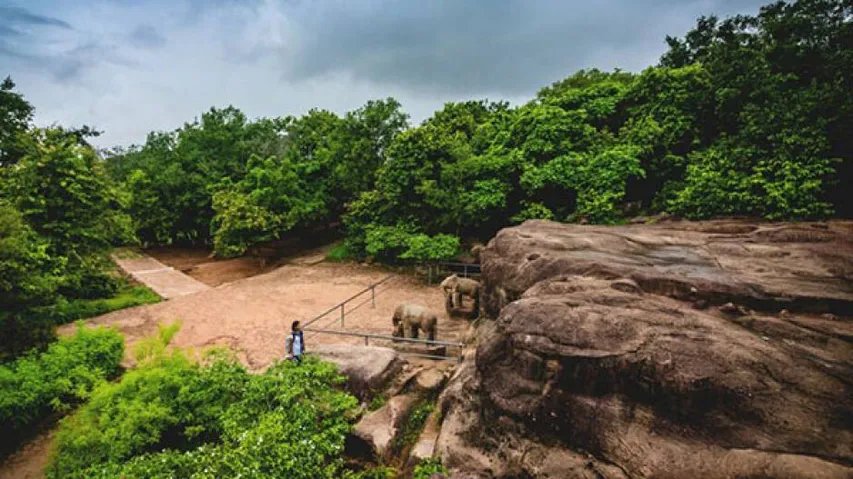 Foreign tourist arrivals in Odisha less than 1% of national total