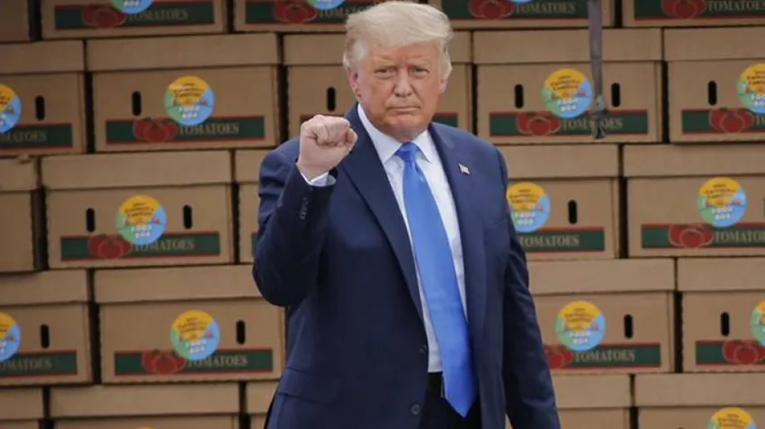 Hackers Entered Trump's Twitter Account With 'yourfired' Password