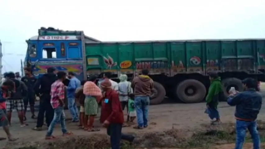Tusker Dies After Being Hit By Truck In Odisha