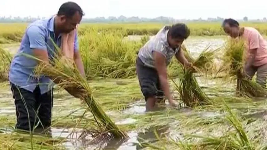 Odisha tops country in crop loss due to natural calamities
