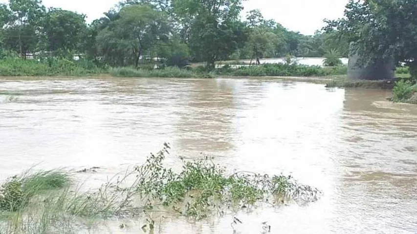 2019  Flood affected farmlands: Odisha in top-5!