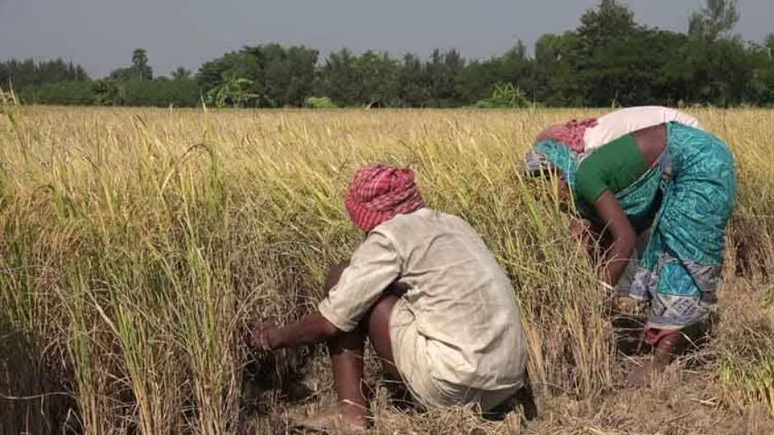 Centre focuses on health, agriculture, infra in NE