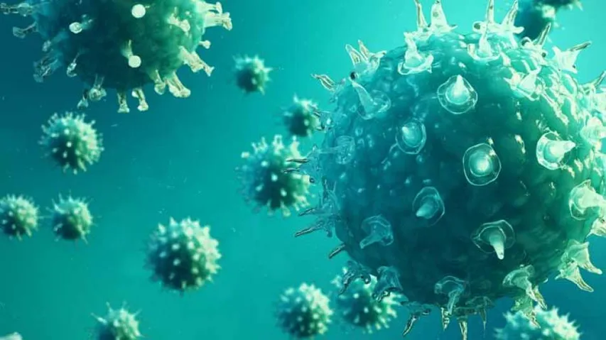 New Device To Capture And Identify Viruses Developed