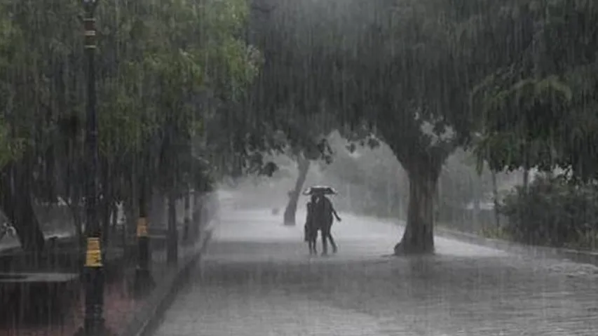 Odisha Weather Update: Yellow Warning Issued For 21 Districts