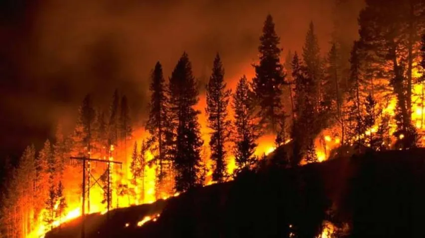Wildfire In US State Scorches Over 17,600 Acres