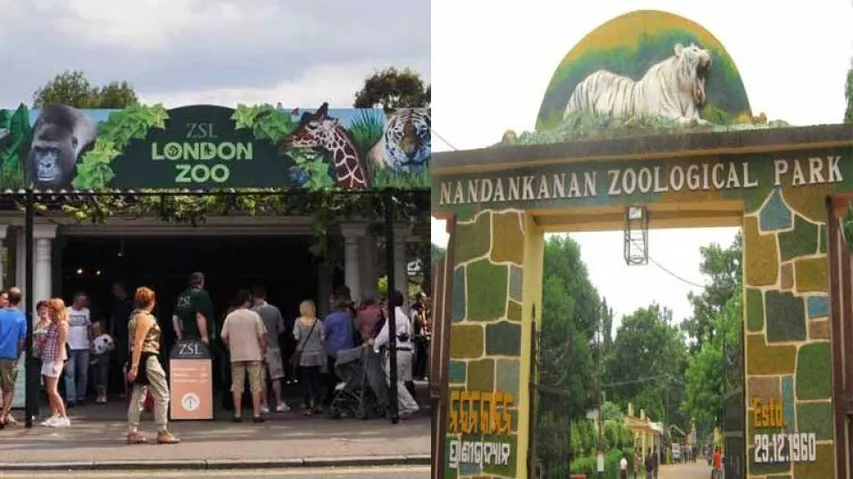 Column: Of London Zoo and Nandankanan