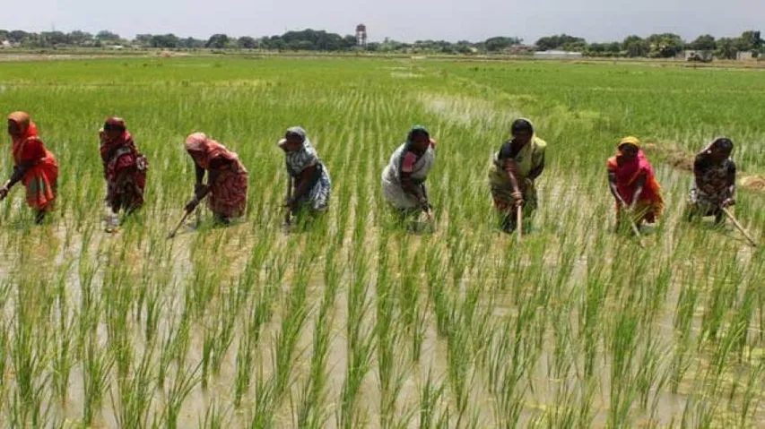 Agriculture Receives Increased Outlay In Odisha Budget 2020