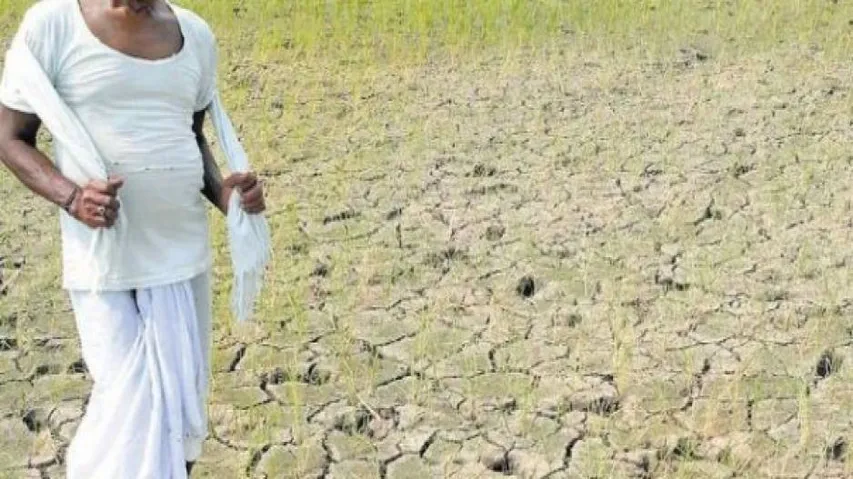 India’s biggest farm reform 91.6 percent behind target