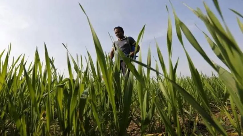 Over 70% Indian Agri-Households Possess A Hectare Or Less Land