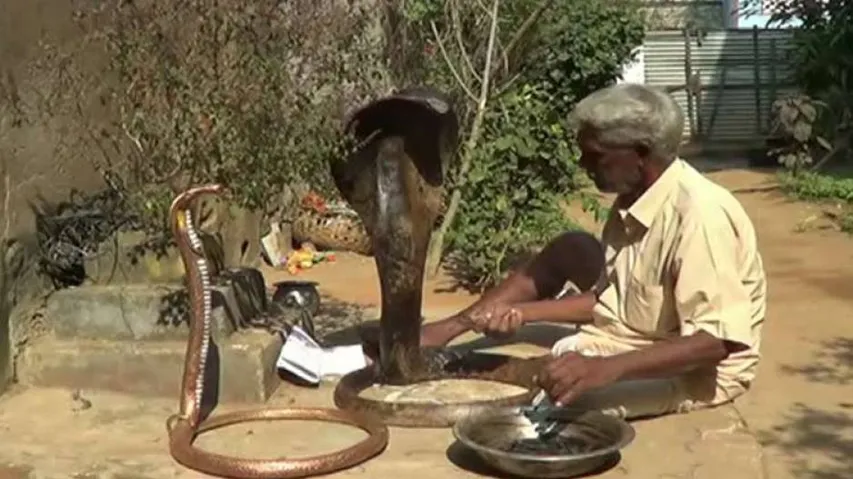 Nayagarh artists allege irregularities in pension distribution