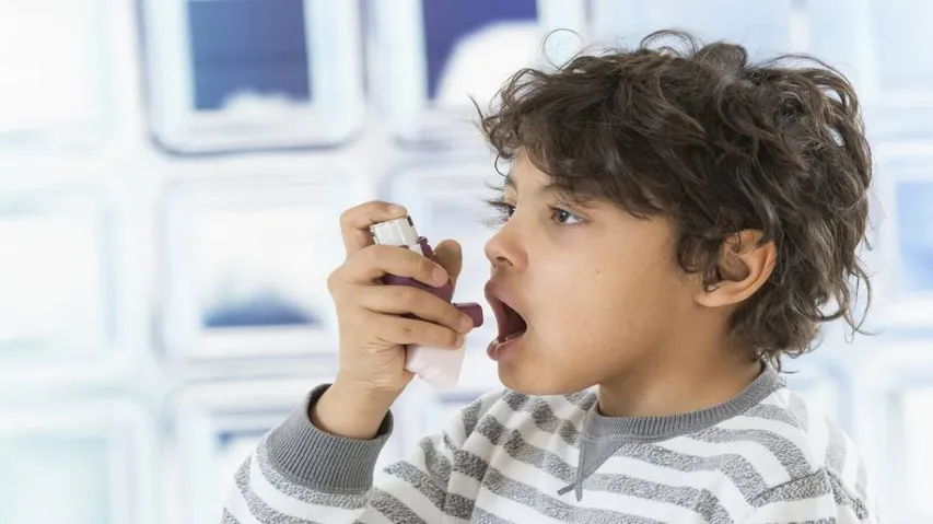 Exposure to pet, pest allergens in infancy may cut asthma risk