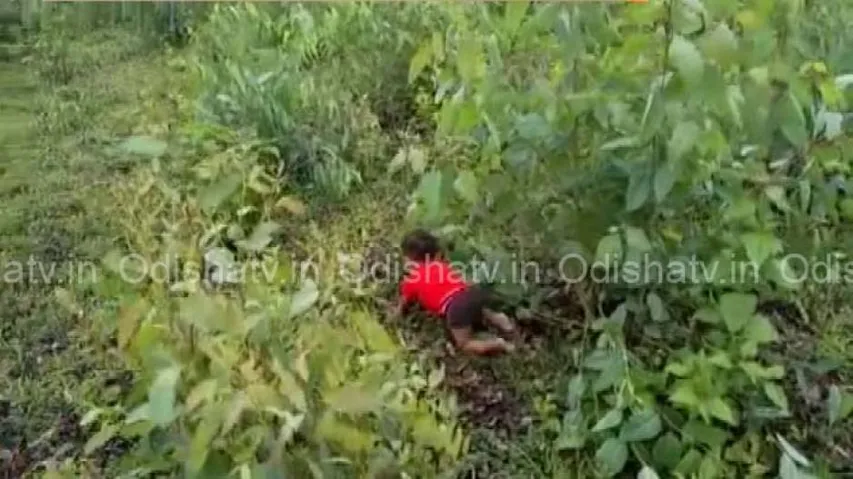 Process for adoption of girl child rescued from Koraput forest begins