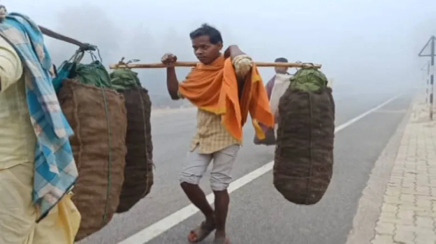 Cold wave grips several parts of Odisha