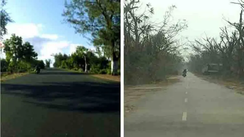 Paradise lost! After Fani fury, Balukhand sanctuary now a sad spectacle