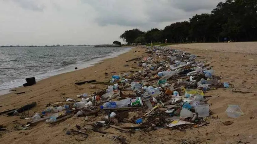 Gopalpur Beach More Polluted Than Puri, Finds New Study
