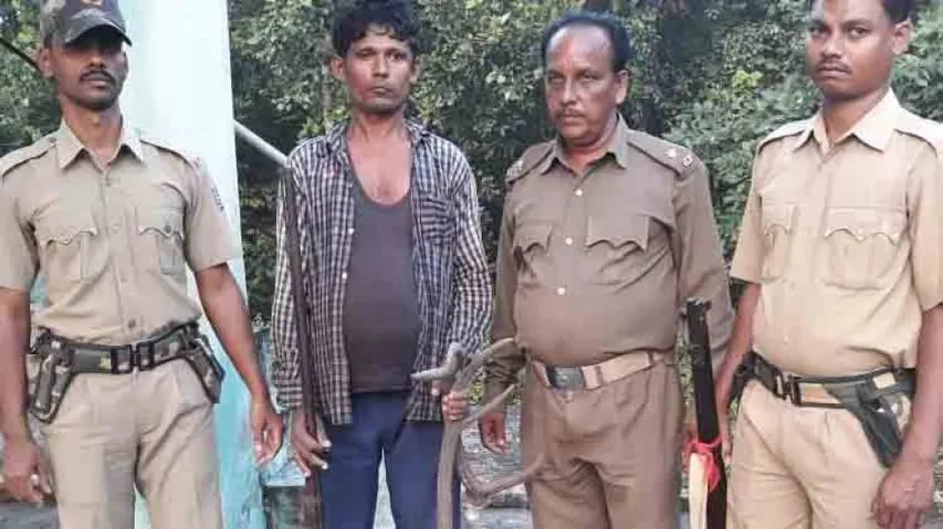 Elephant poaching racket busted in Athagarh, 1 held