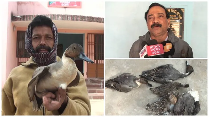 Five migratory birds recovered, poachers flee