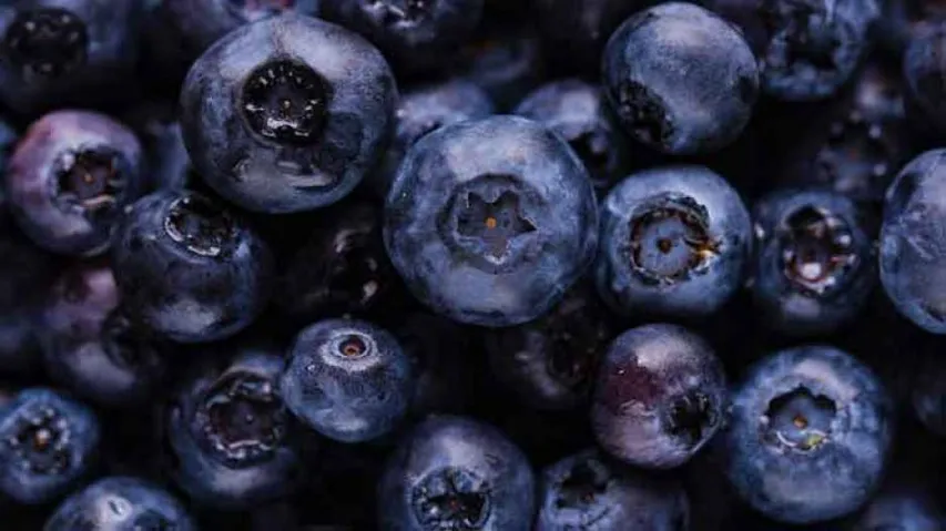 Eating blueberries can improve heart health