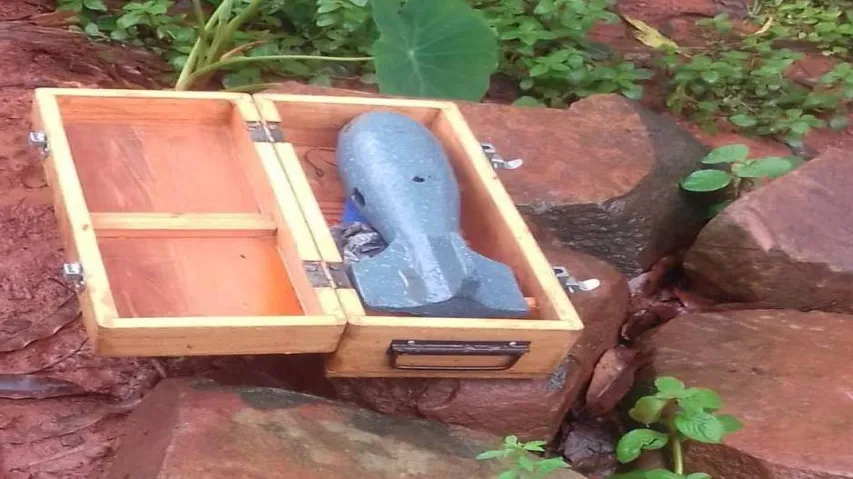 'Rocket bomb' recovered in Keonjhar; Maoist link suspected