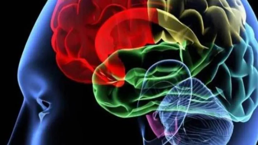 Watching activity video may boost your brain power