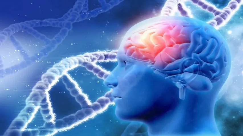 How the brain copes with ageing