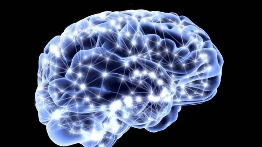 Covid-19 Can Cause Severe Inflammation In Brain