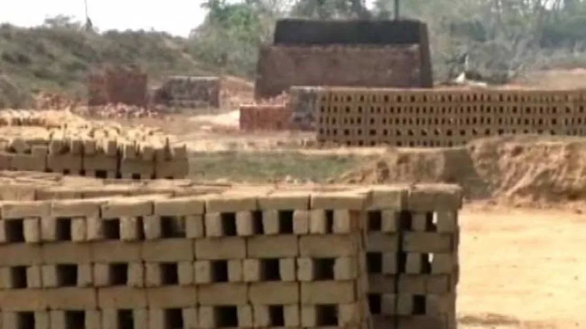 NGT Directs OSPCB To Go Tougher On Illegal Brick Kilns In Ganjam