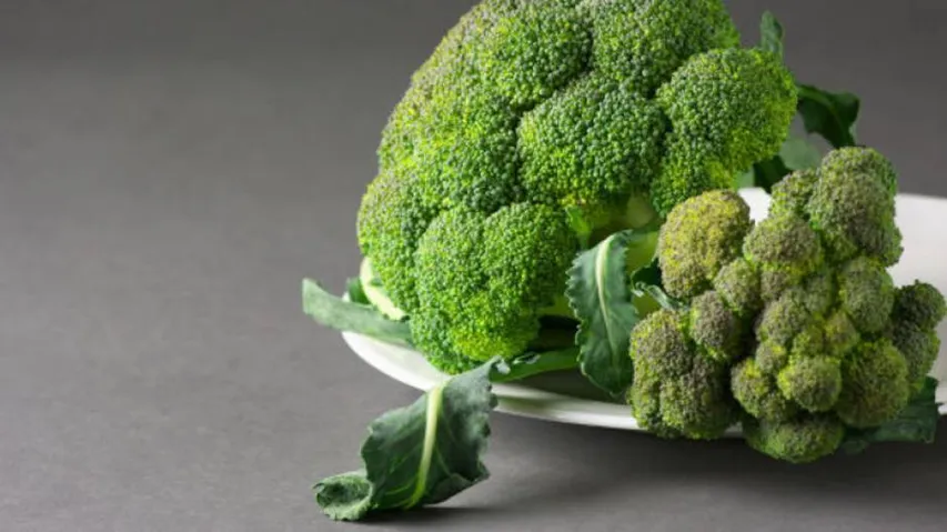 Cabbage, broccoli could help prevent colon cancer: Study