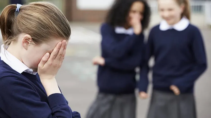 Bullying can damage entire school environment: Study