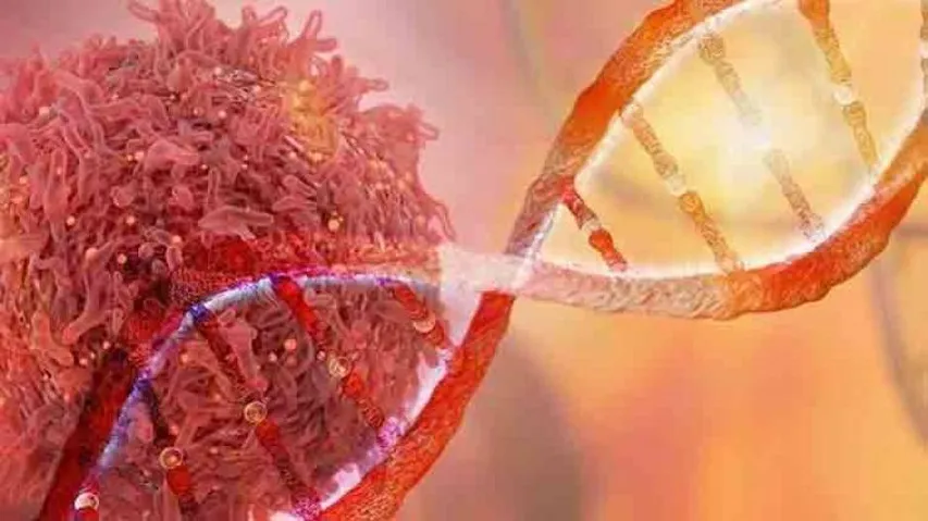 Repurposing cancer drugs may help treat HPVs