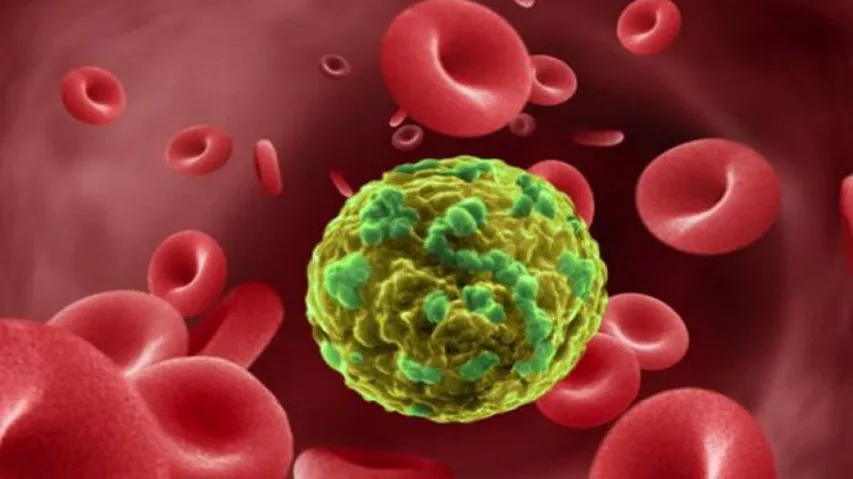 New wearable device grabs cancer cells from blood