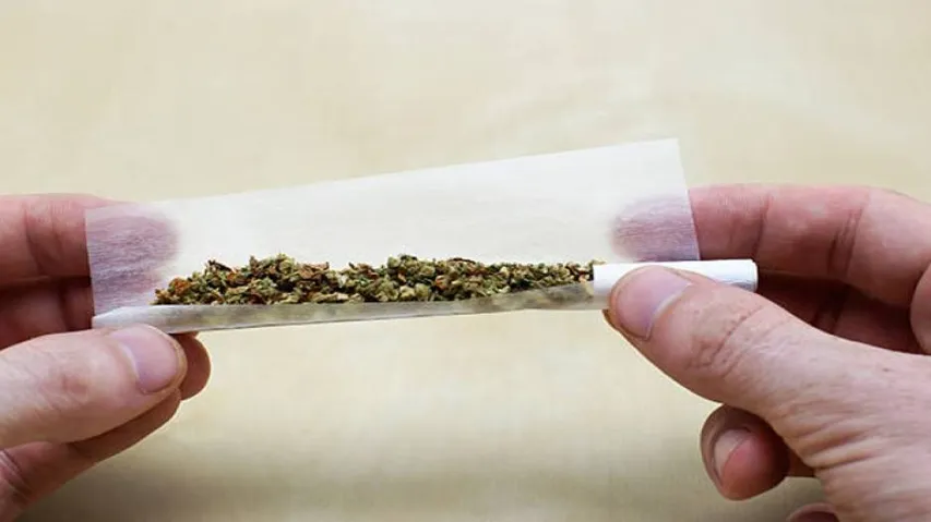 Cannabis may up bipolar symptoms in teenagers: Study