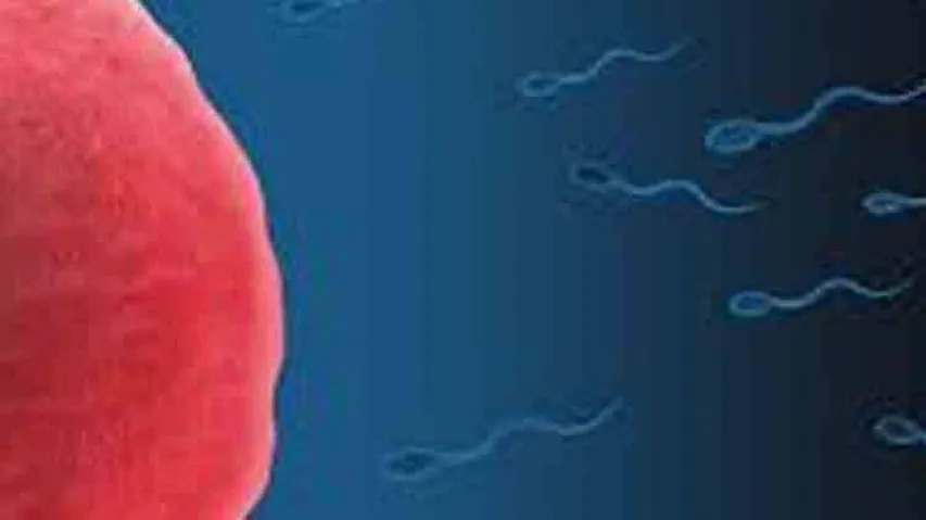 Cannabis exposure can alter sperm: Study