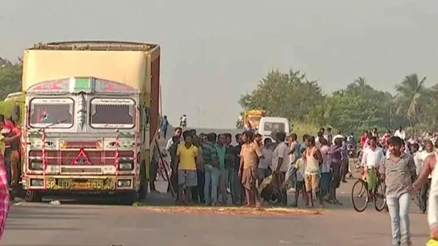 Illegal Cattle Smuggling: 800 Cattle Rescued In Odisha