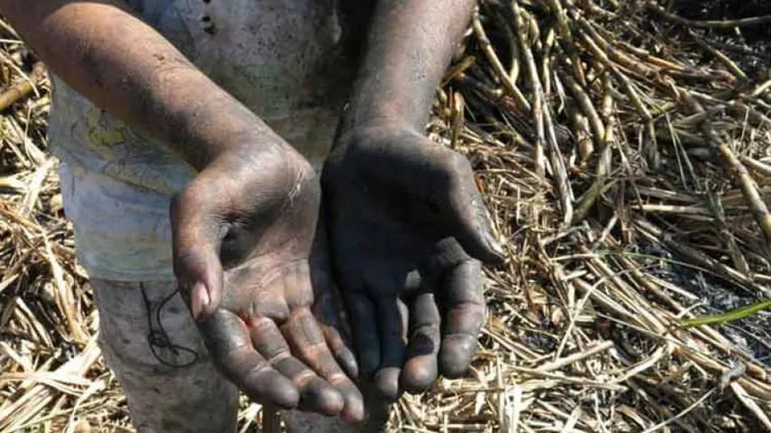 138 Child Labourers Rescued From Surat By Raj-Guj Teams