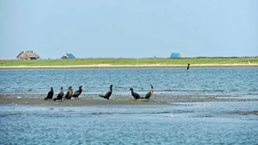 Water aerodrome project mulled on Chilika lake