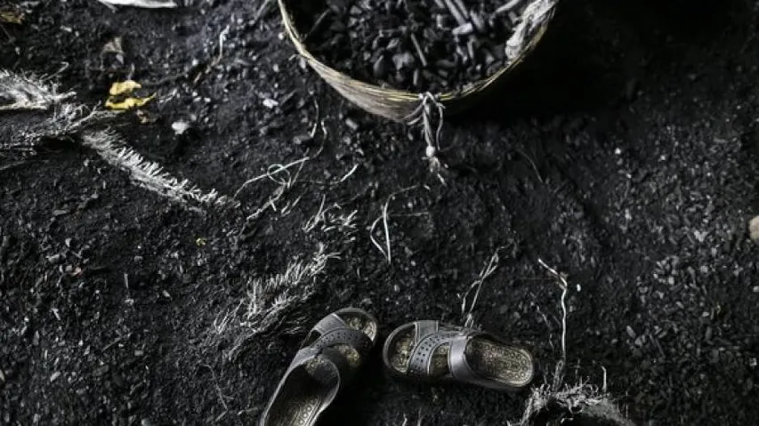 Coal India's net profit declines 40% in second quarter