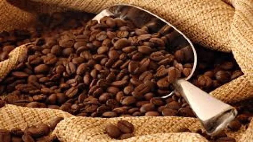Moderate coffee consumption not linked to dehydration