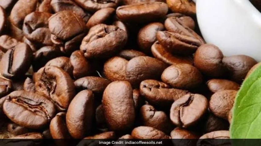 IIITM-K develops app for coffee growers