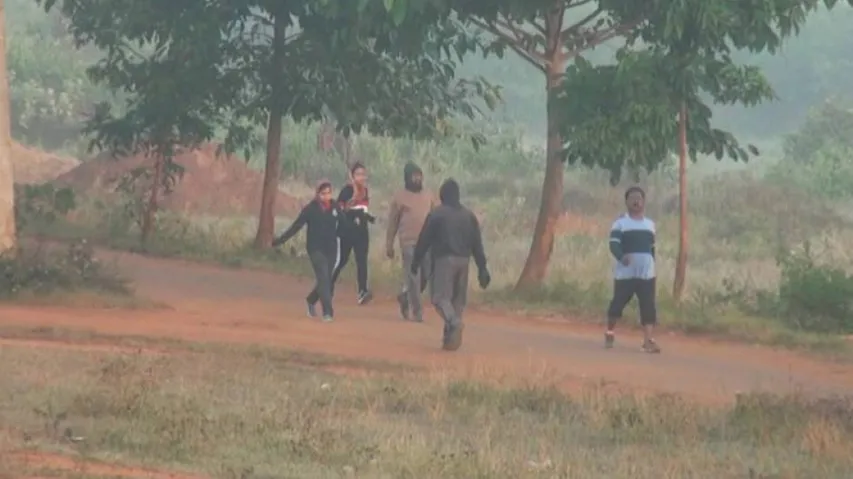 Respite From Cold Conditions, Only 2 Stations In Odisha Record Temp Below 15 Deg C